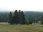 Wolkenverhangener Pass