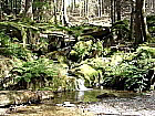 Waldbach