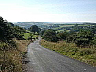 Landschaft in Somerset