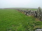 Mauern im Nebel