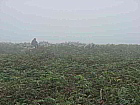Steinring im Nebel