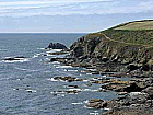 Lizard Point