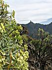 Roque Nublo