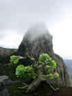 Berg im Nebel