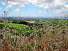 Weinberge in Chianti