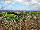 Weinberge in Chianti