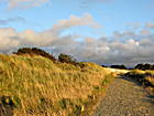 Abendstimmung in den Dünen