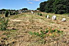 Dolmenallee in Carnac