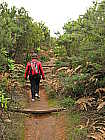 Weg hinauf zum Alto de Garajonay