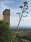 Ruine an der Westkste