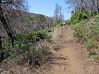 Verbrannte Landschaft bei Laguna Grande