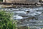 Unter der Loirebrücke