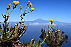 Blick auf Teide, Mirador de Abrante