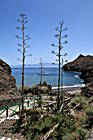 Playa de la Caleta