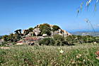 Alientu