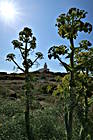 Capo Testa