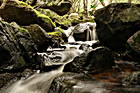 Waldbach