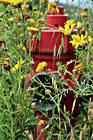 Hydrant