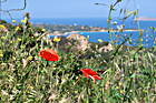 Nördlich von Porto Rotondo
