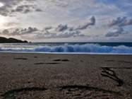 Brandung am Strand